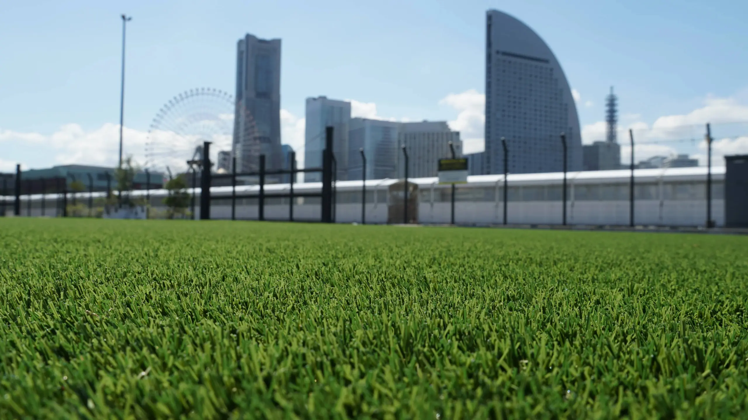 ハンマーヘッドみなとみらい