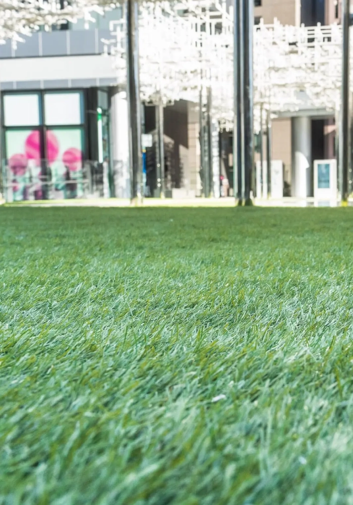 渋谷さくらステージの人工芝