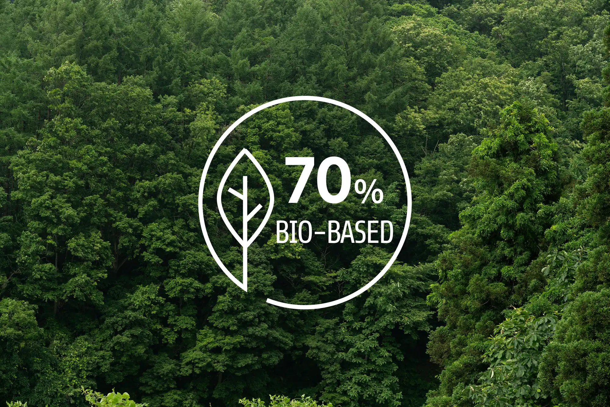 植物由来の人工芝