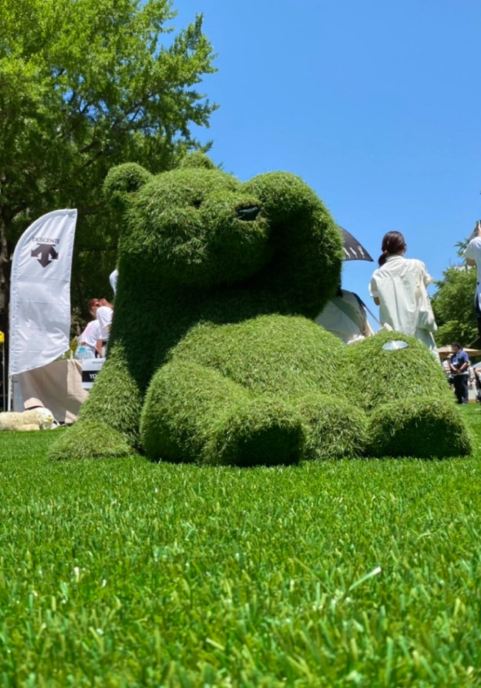 tvk かながわMIRAIストリートの人工芝のクマ