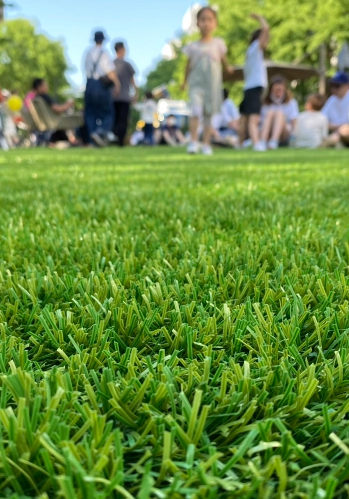 tvk かながわMIRAIストリートの人工芝