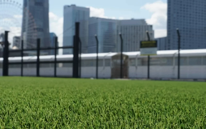 横浜ハンマーヘッド｜YOKOHAMA HAMMERHEAD